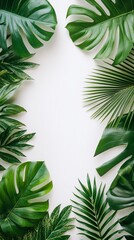 Tropical leaves on a white background realistic studio photo