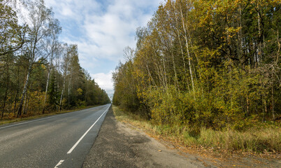 A road with trees on both sides and a clear blue sky