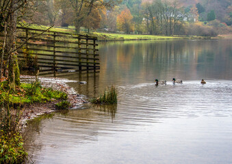 Grasmere, Cumbria, England