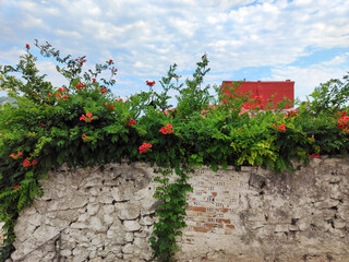colorful Parga town in summer, Greece
