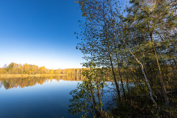 A beautiful lake with trees in the background