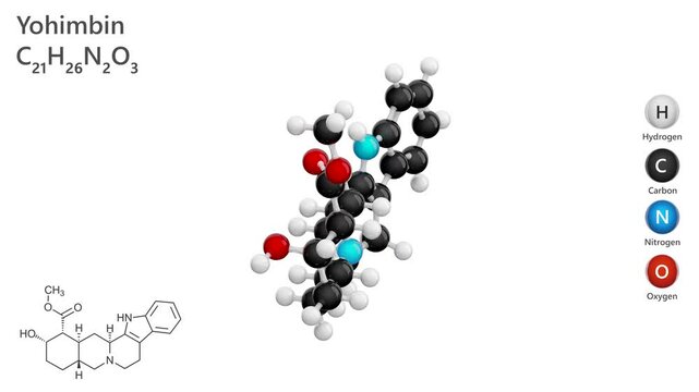 Yohimbine. Indole alkaloid. Animated 3D model of a molecule. Molecular formula: C21H26N2O3. Chemical model: Ball and stick. White background. 3D rendering. Seamless loop.