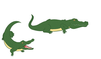 Crocodile illustration for kids print 