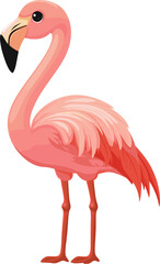 Obraz premium A vibrant pink flamingo standing gracefully cartoon isolated on transparent background. Vector illustration.