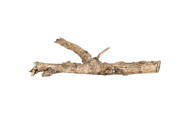 Dry tree twigs branches isolated on white background with clipping path.