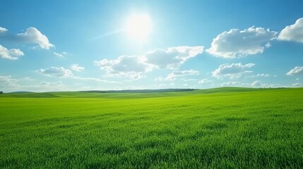 Vibrant green fields stretching into the distance, clear sky with scattered clouds, idyllic rural scene