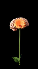 A minimalist brain illustrated with soft clouds and rain, symbolizing emotional ups and downs.


