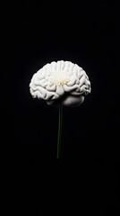 A minimalist brain illustrated with soft clouds and rain, symbolizing emotional ups and downs.


