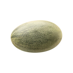 Realistic Organic cantaloupe melon
