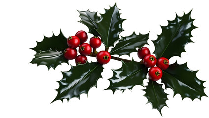 Obraz premium Traditional Holly Leaves with Bright Red Berries