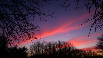 Silhouette of a beautiful Christmas tree against a colorful sunset sky, dusk, seasonal, cozy