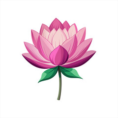 Lotus flower feminine logo design vector Icon illustration