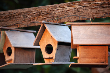 Wooden Birdhouses Hanging on a Rustic Wooden Beam