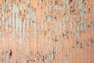 Textured Wall with Peeling Paint and Weathered Surface