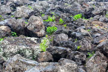 ROCKS