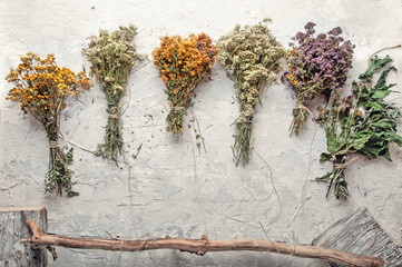 different wild medicinal dry herbs: white yarrow herb blossoming, yellow tansy herb, lilac marjoram\oregano, St. John's wort at white background