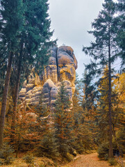 Sandstone rocks with forest in Germany