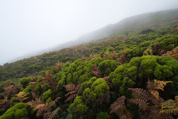 beautiful landscape on pico volcano
