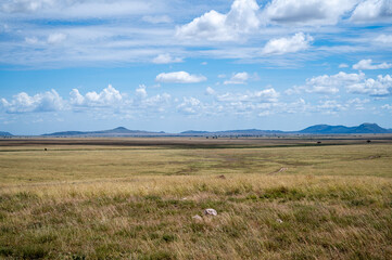 The savannah, Serengeti National Park