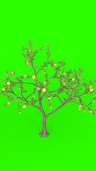 lemon tree with green background