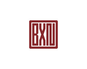 BXN logo design vector template. BXN