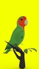 parrot on branch with green background