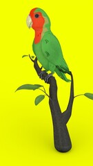 parrot on branch with green background