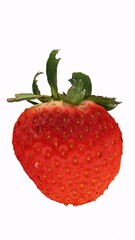 strawberry with white background