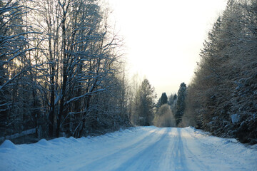 Fototapeta premium Winter snowy frosty landscape. The forest is covered with snow. Frost and fog in the park.
