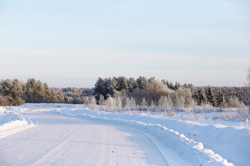 Fototapeta premium Winter snowy frosty landscape. The forest is covered with snow. Frost and fog in the park.