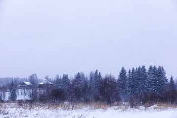 The forest is covered with snow. Frost and snowfall in the park. Winter snowy frosty landscape.