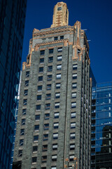 Obraz premium skyscrapers in the city