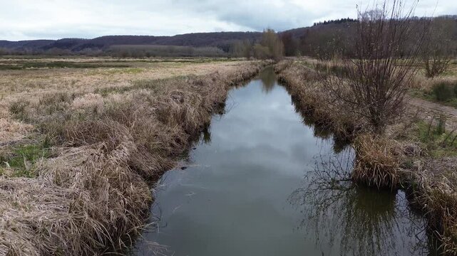Road and river in a swamp