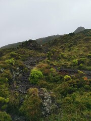 tropical volcanic hiking path