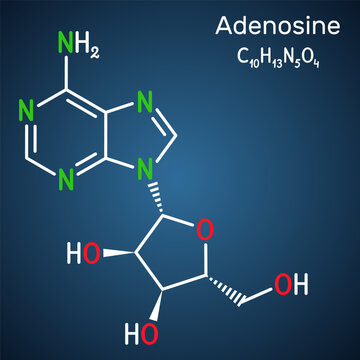 Adenosine ribonucleoside molecule. Chemical structure of nucleoside, dark blue background. Vector