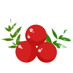 red currant isolated on white