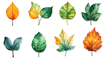 Obraz premium Beautiful watercolor autumn leaves collection with vibrant shades of orange, red, and yellow. Perfect for seasonal vector designs, invitations, artistic celebrating beauty of fall. Dry leaves set.