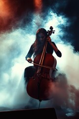 Violinist on stage in fog