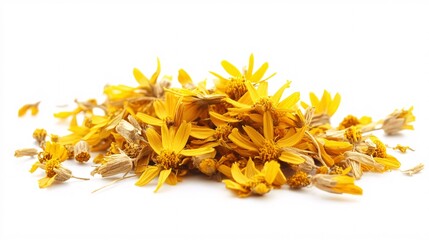 Dried Yellow Flowers on White: A Botanical Still Life