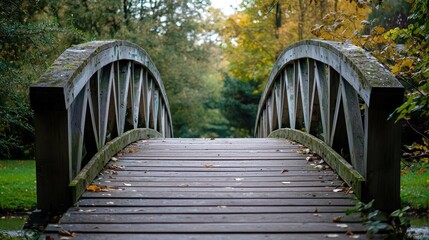 Wooden bridge over a stream in a forest with autumn leaves on the ground.