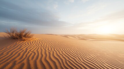 Sunset over a vast, golden desert landscape.