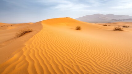 Expansive desert landscape with rolling sand dunes.