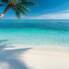Fototapeta premium A palm tree on tropical beach with crystal clear turquoise waters against white sand.