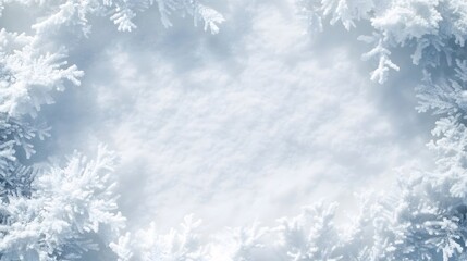 Frost-Covered Branches Framing a White Background