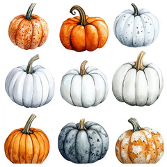 Watercolor painting of pumpkin isolated on a white background, pumpkin drawing vector Illustration.