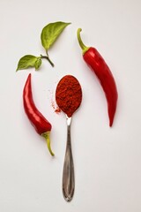 Fresh chili pepper and ground paprika on a spoon