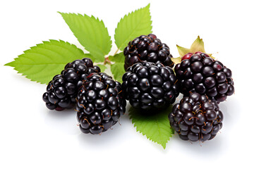 Close Up Photography Fresh Blackberry with Leaf Isolated on White Background for Food Photography, Food Blogs, Packaging, Recipes, Social Media, E-commerce, Health Websites, Print Ads, Menus