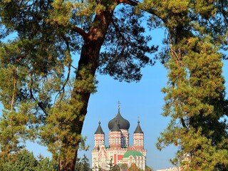 Fototapety na wymiar - Fototapeta24.pl