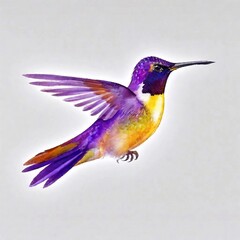 Fototapeta premium beautiful colorful hummingbird, bird