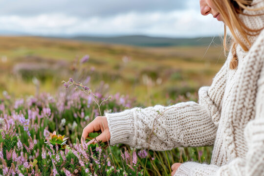 National Heather Day. A woman in a knitted sweater leans forward, picking fresh lavender in a scenic field, capturing the peaceful ambiance of a natural countryside setting. - Powered by Adobe
